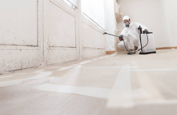 24/7 Emergency Mold Removal experts in Parsippany, NJ